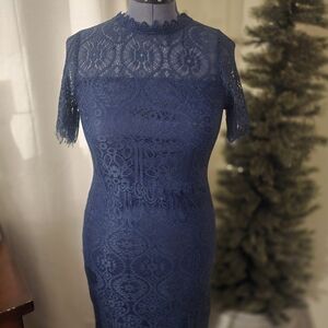 Elegant Lace Dress